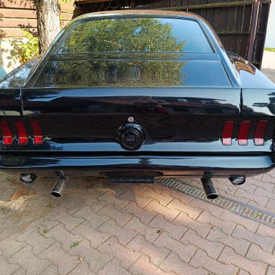 455052279_1039257254260992_7310629610949975153_n