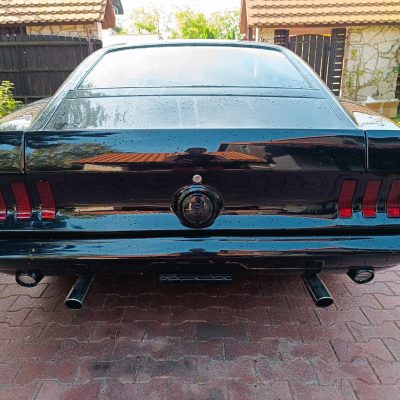 455597942_4219326461627686_57153813923869802_n