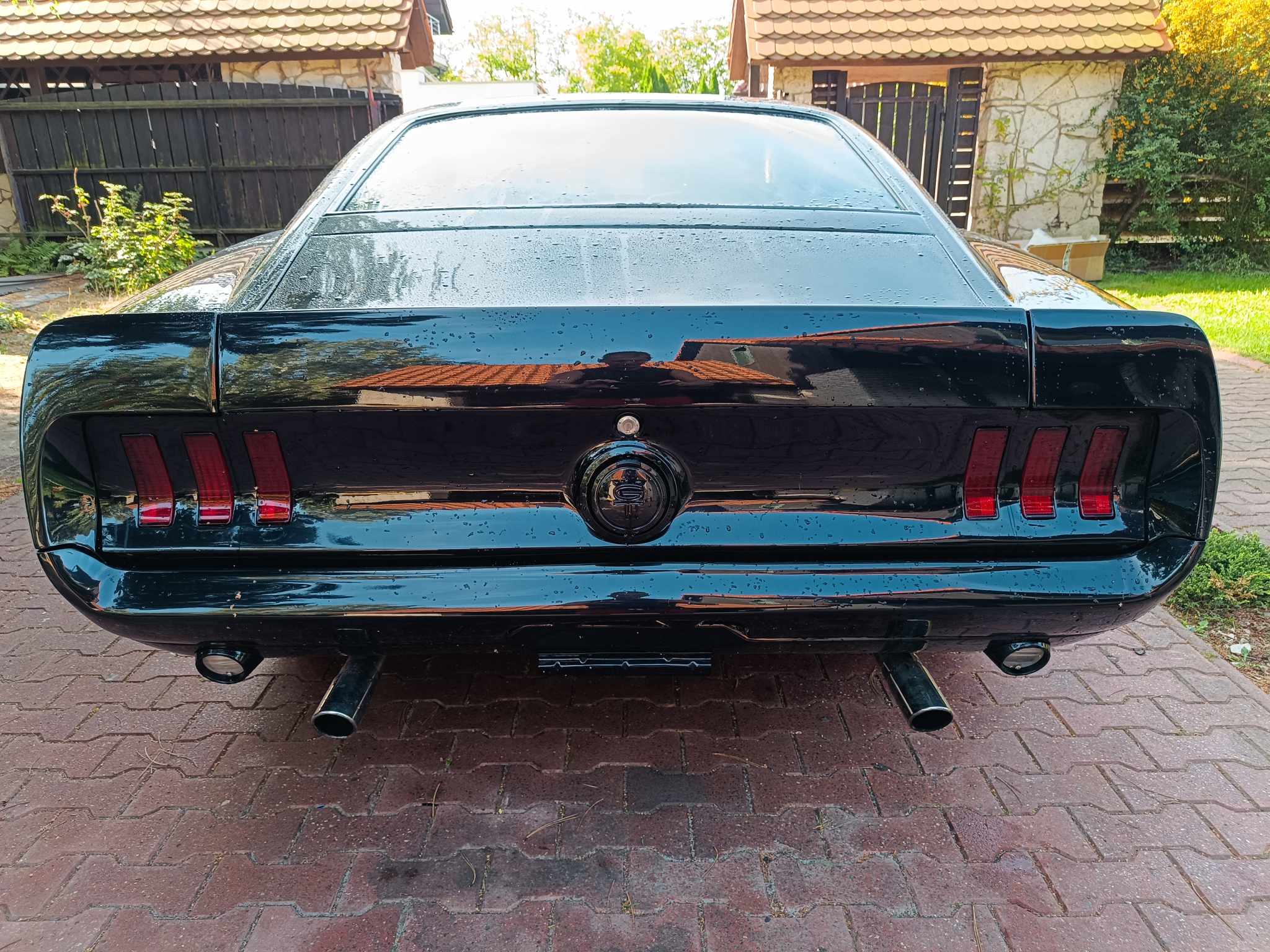 455597942_4219326461627686_57153813923869802_n