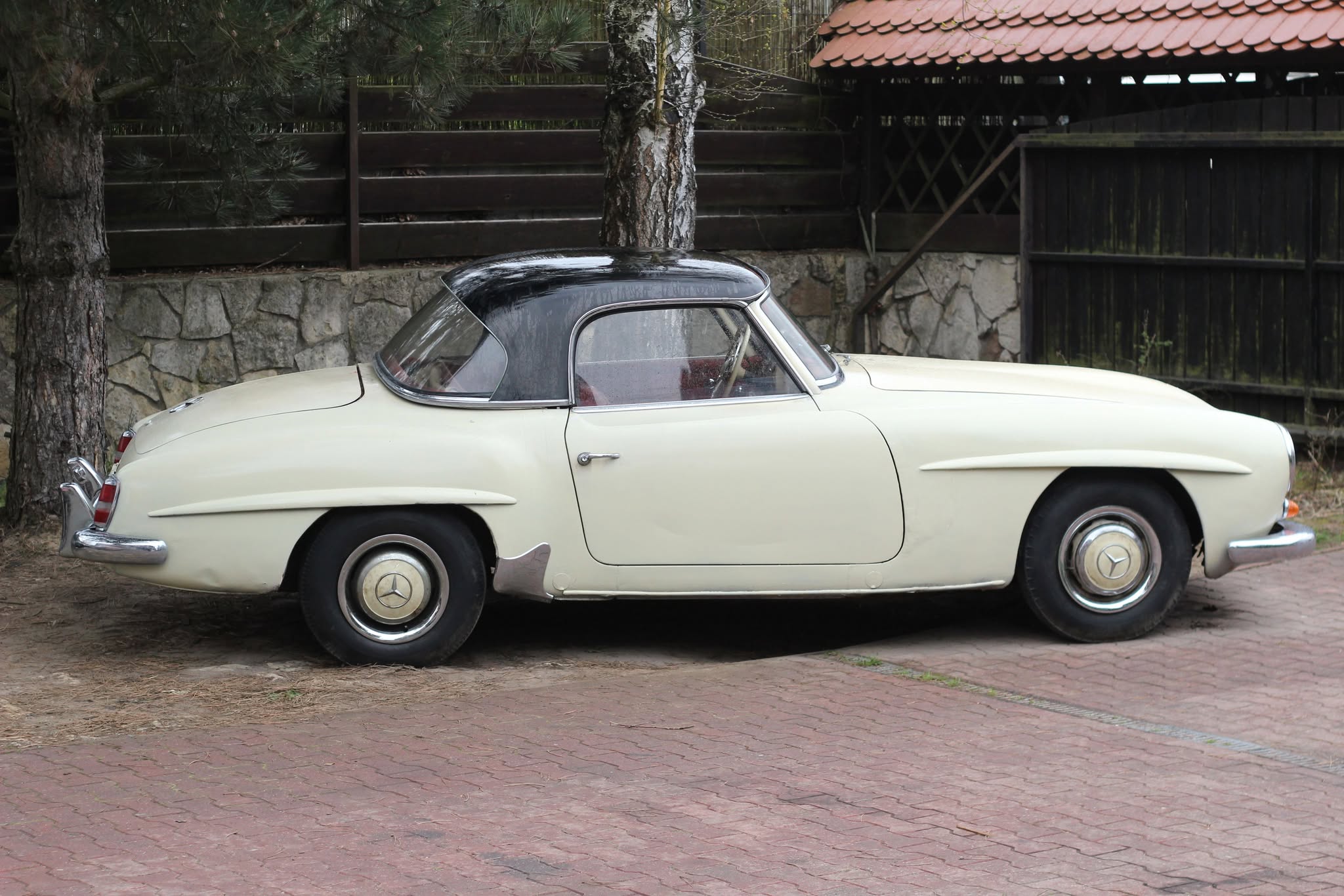 490997389_979873057678743_3517879315576652132_n