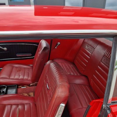 448342671_3792760667627515_1653208346351805772_n