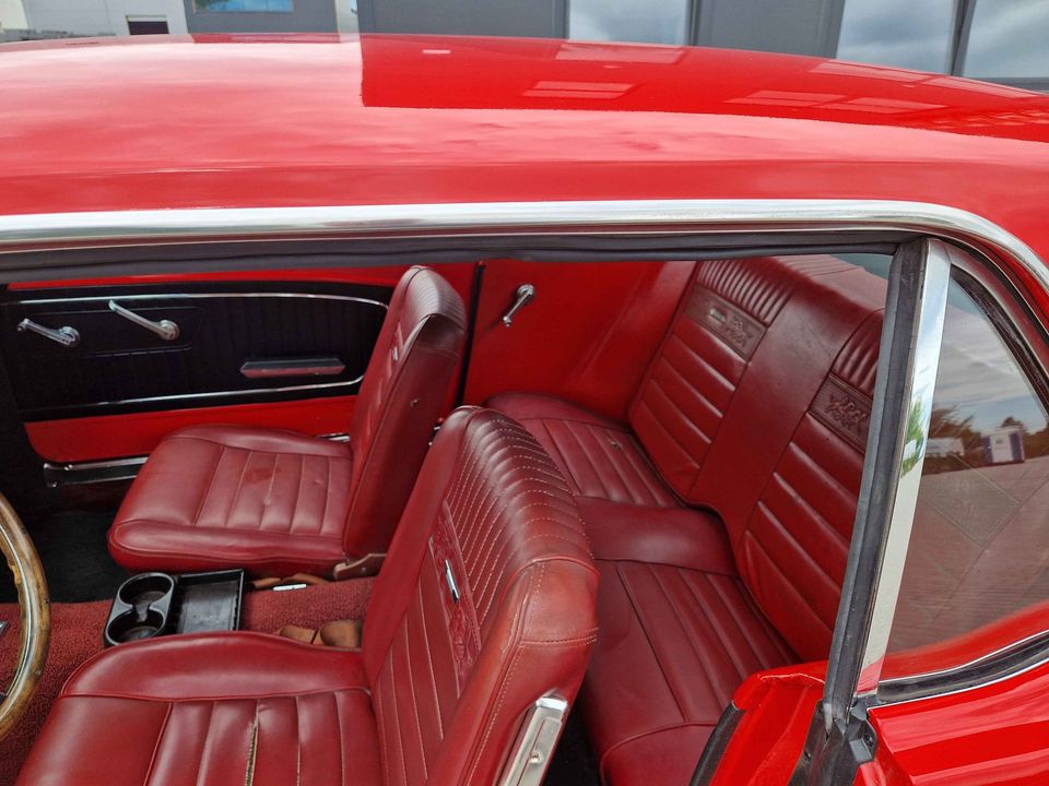 448342671_3792760667627515_1653208346351805772_n