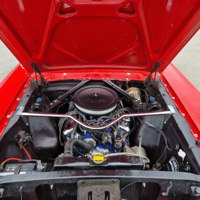 448370448_3792760584294190_7642080089397278941_n