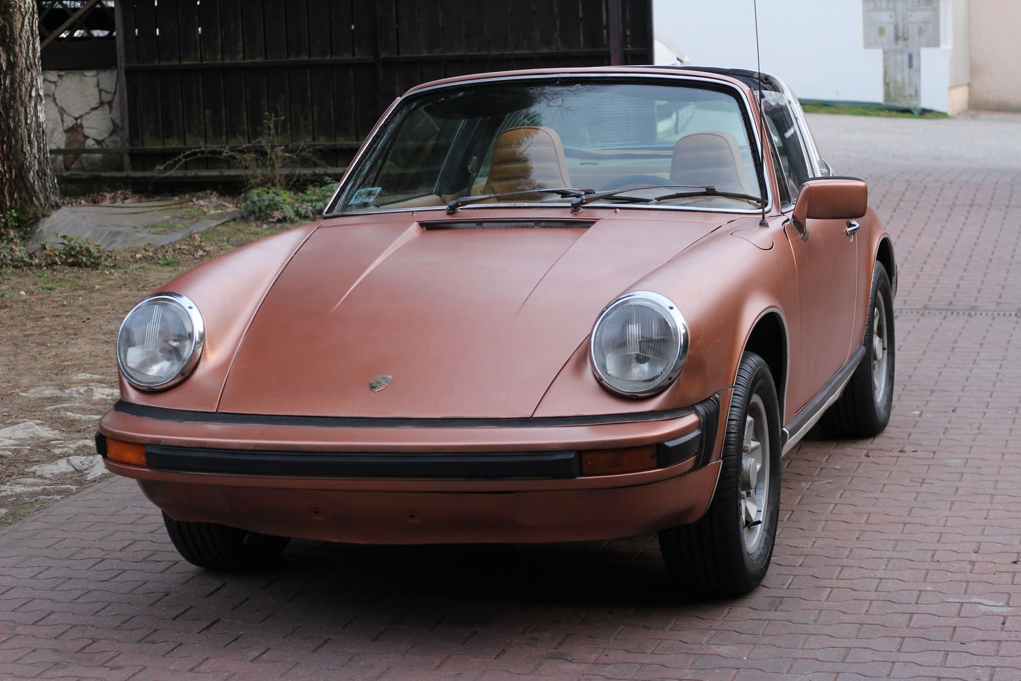 484878003_1342409320217586_2935181444045646030_n