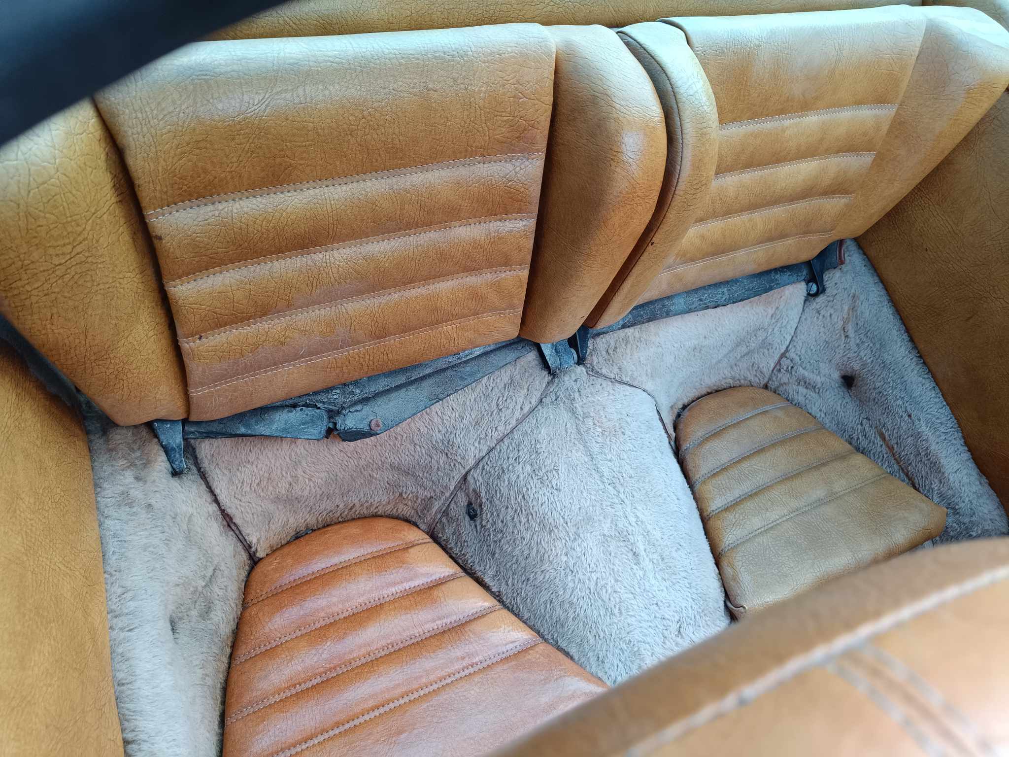 485760023_1189867152691599_3755256933553804550_n