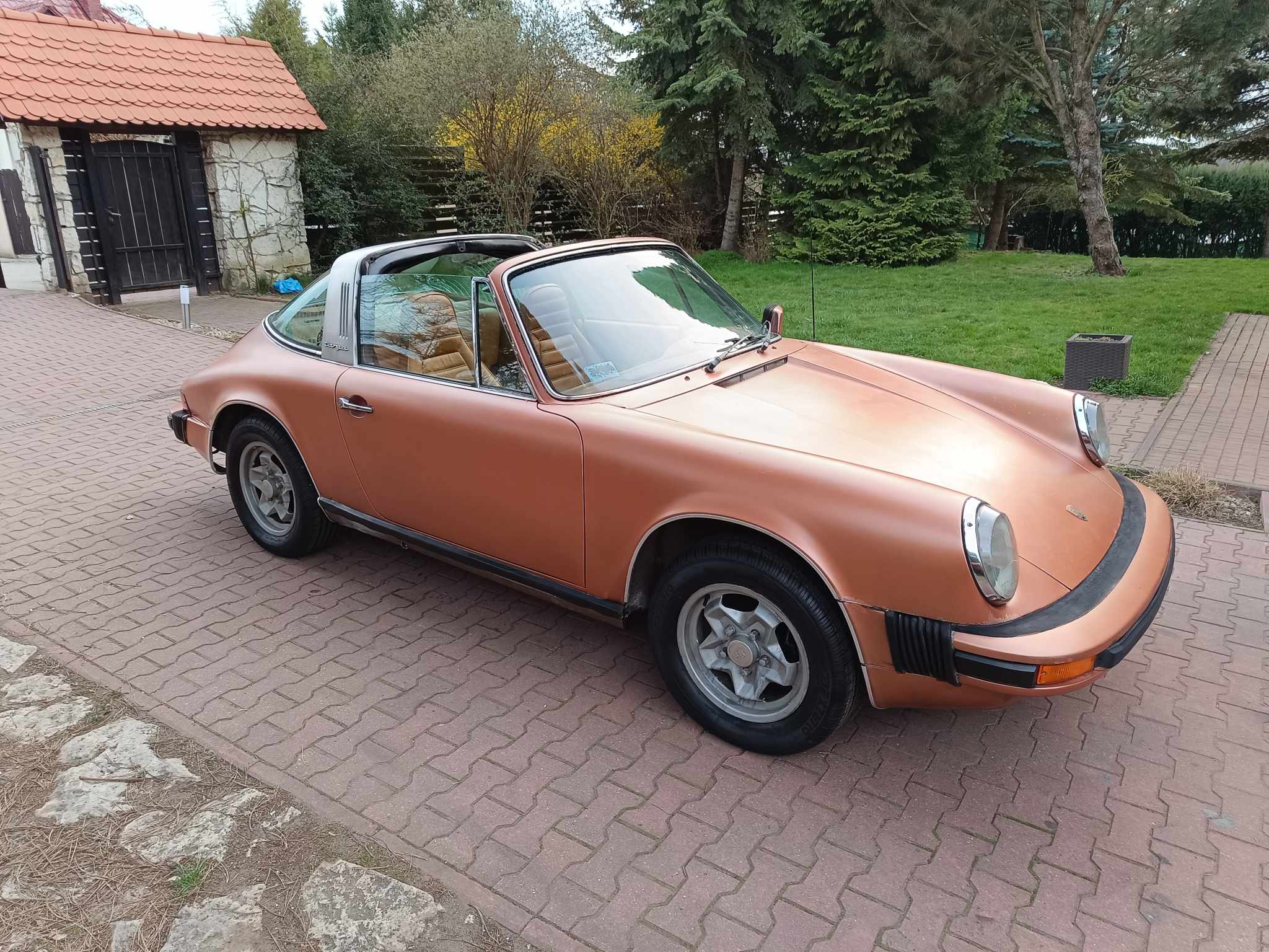 486975280_1355966962204738_9137848316817020731_n