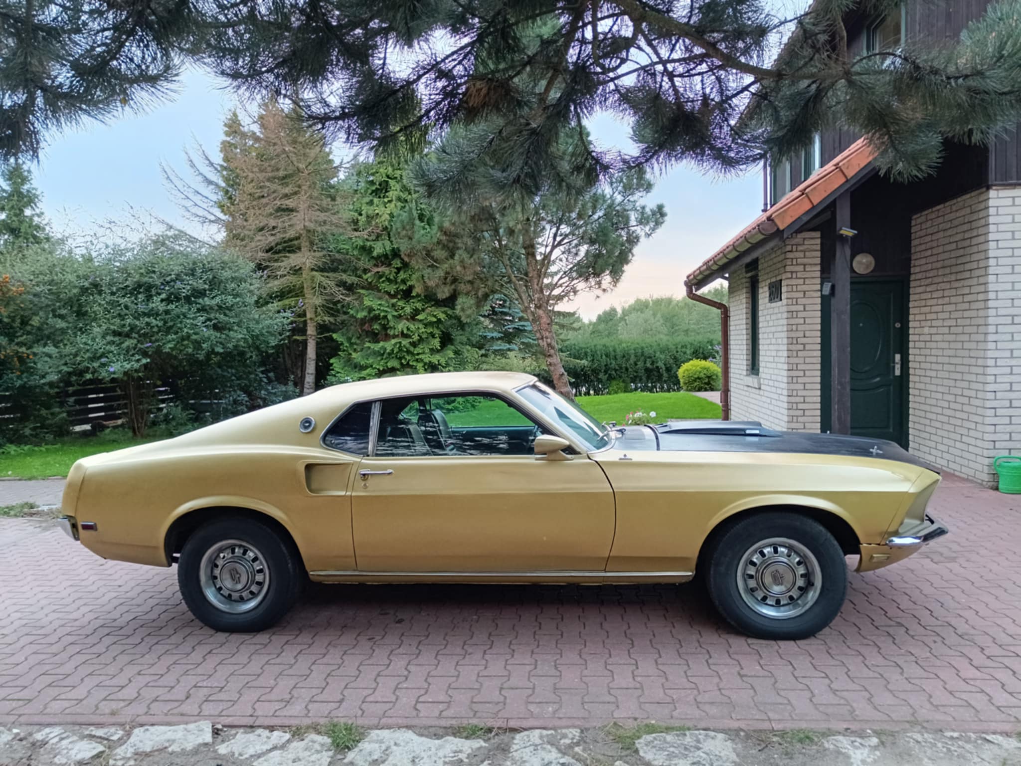 fa8e09b0-7c3a-4615-8e75-1bacdd2e4f28