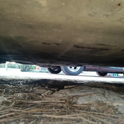 d231988a-d596-4cc5-b588-f970b4f05477