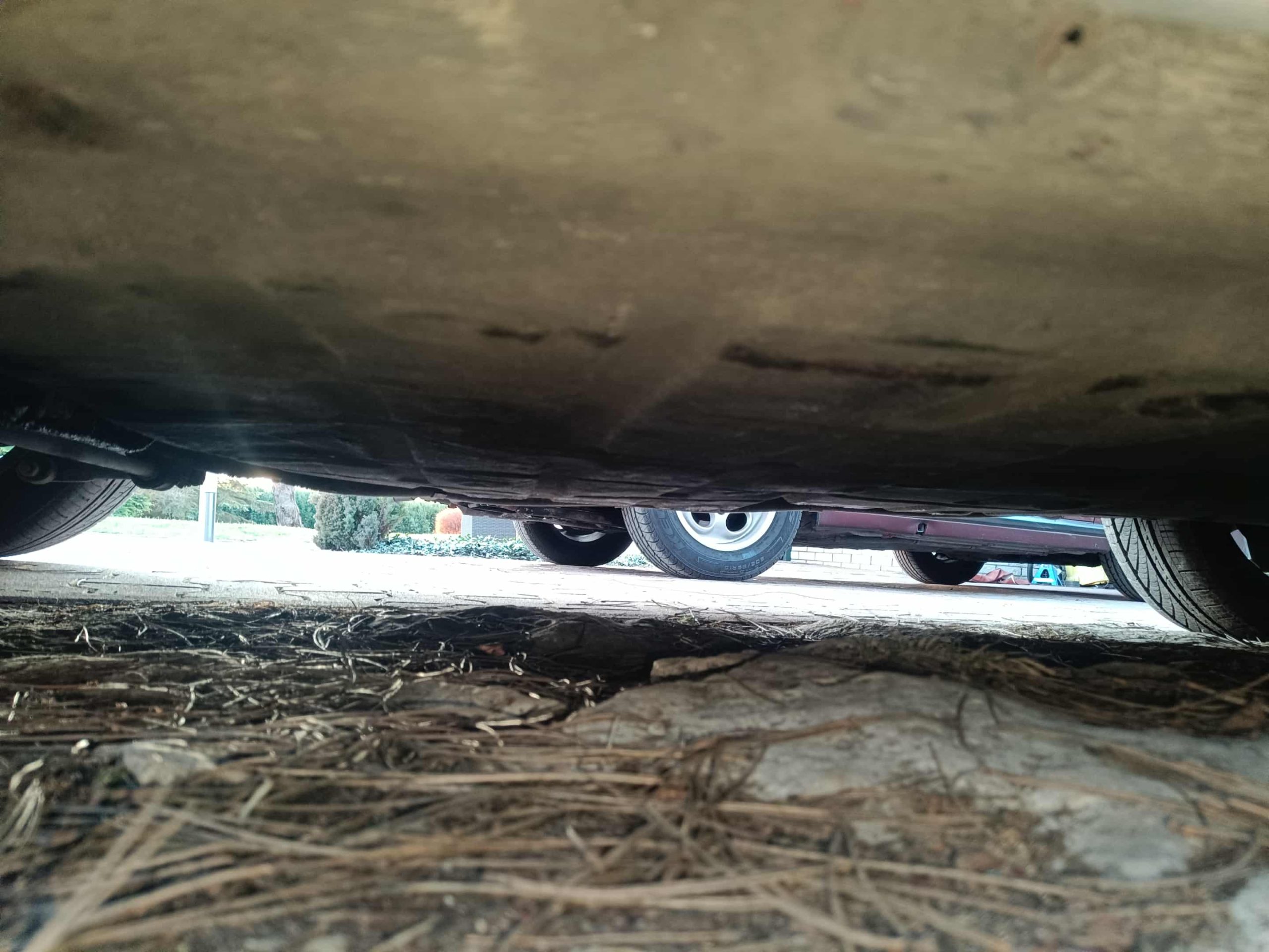 d231988a-d596-4cc5-b588-f970b4f05477